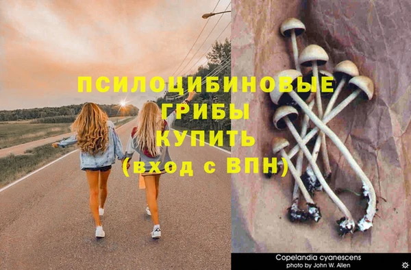 дмт Аркадак