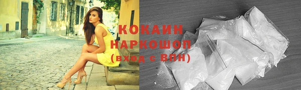 соль ск Арсеньев