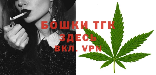 дмт Аркадак