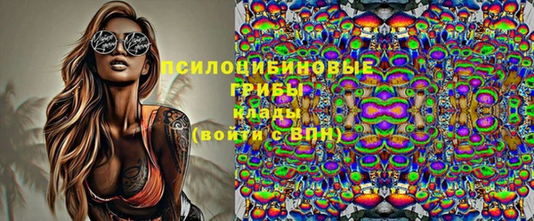 дмт Аркадак
