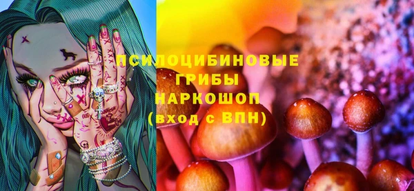 ПСИЛОЦИБИНОВЫЕ ГРИБЫ Армянск