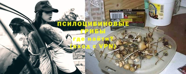 ПСИЛОЦИБИНОВЫЕ ГРИБЫ Армянск