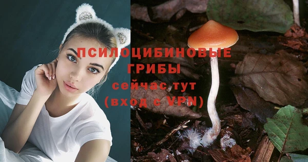 дмт Аркадак