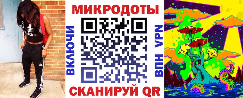 Купить  Сатка  Псилоцибиновые грибы Psilocybe 